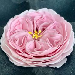 Voorbeeld van a Very English Rose