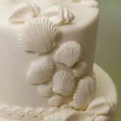 Katy Sue Sea Shells Mould