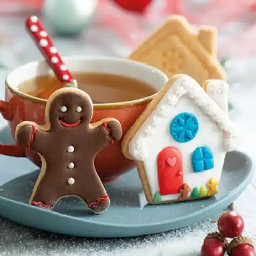 Decora Plastic Cookie Cutter Gingerbrad Man & House