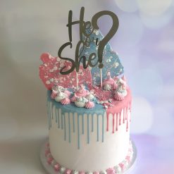 Cake topper He or She?