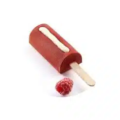 Silikomart Ice Cream Mould Chic