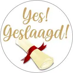 Alternative view of Cupcake Toppers Yes Geslaagd!