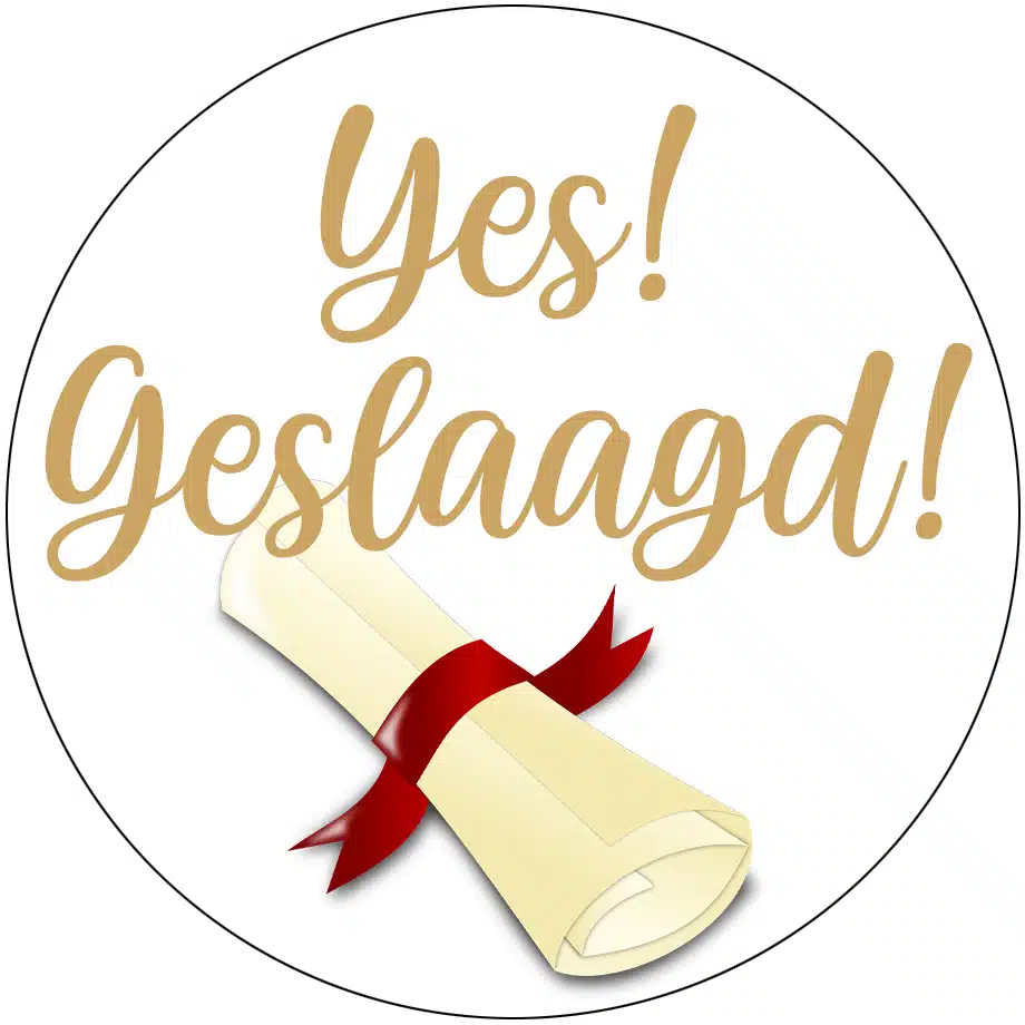 Cupcake Toppers Yes Geslaagd! - Afbeelding 2