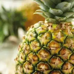 FunCakes Smaakpasta Ananas
