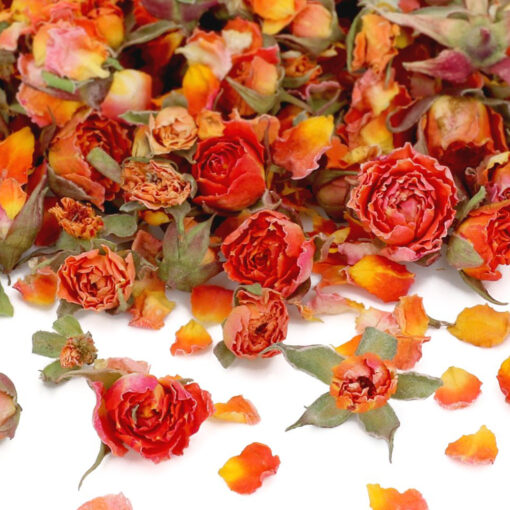 Cake-Masters Rose Buds Orange