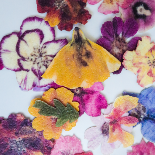 Crystal Candy Wafer Paper Pressed Flowers