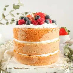 BrandNewCake Biscuitmix Suiker- en Lactosevrij