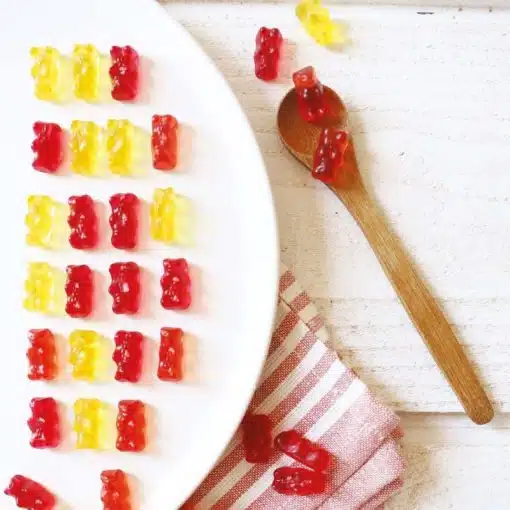 ScrapCooking Siliconemal Gummy Bears