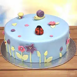 Basisworkshop Taart Decoreren