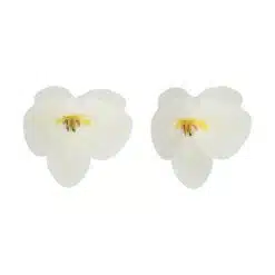 FunCakes Eetbare Papieren Bloemen Orchidee Wit