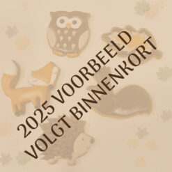 Tijdelijk workshop royal icing koekjes