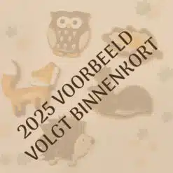 Tijdelijk workshop royal icing koekjes