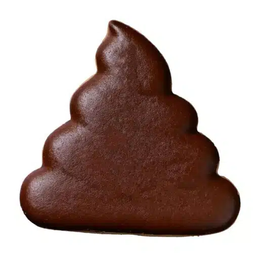 Wilton Cookie Cutter Drol