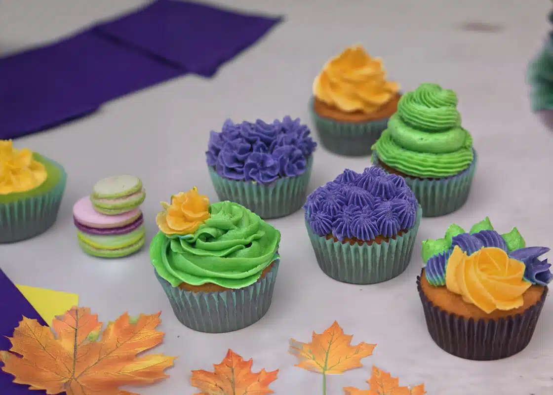 Wilton Start with Cupcakes