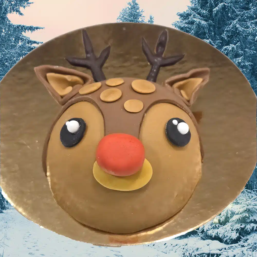 Kinderworkshop Rocky Reindeer Kerst 2025