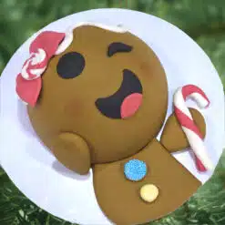 Tienerworkshop Gingerpret 2025