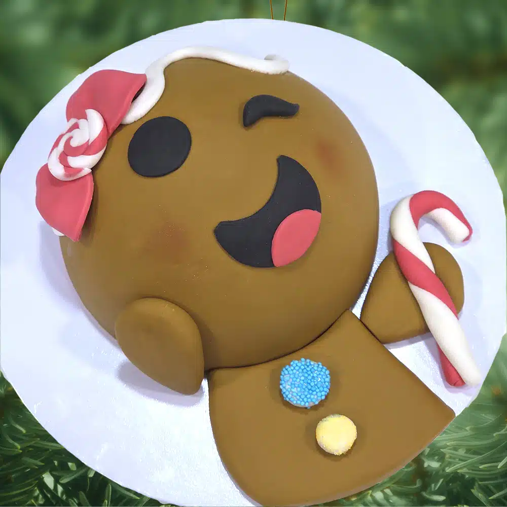 Tienerworkshop Gingerpret 2025