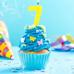 Onze 7e verjaardag