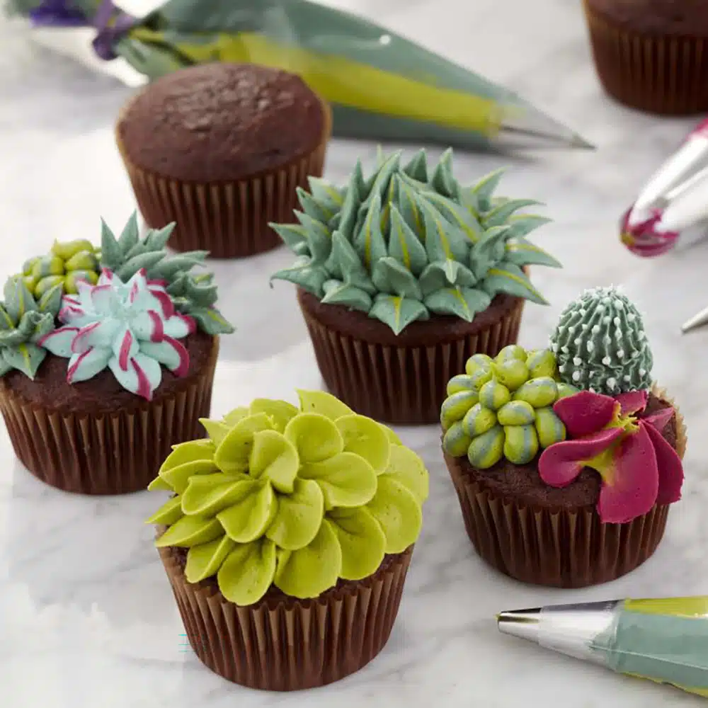 Wilton Summer Succulents